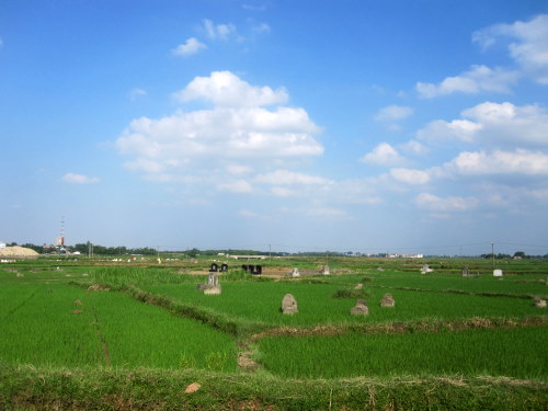 Thực hư “sốt” đất nghĩa trang ở Đường Lâm